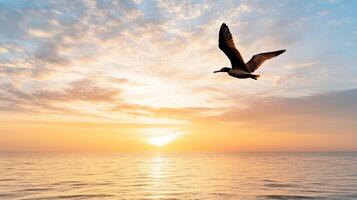 A seagull flying over the ocean at sunset photo