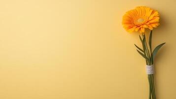 A single yellow flower on a yellow background photo