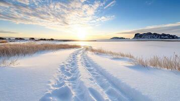 A trail of snow leads to the shore of a lake photo