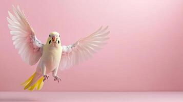 A yellow and white parrot is flying in the air photo