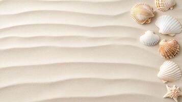 Sea shells and starfish on the sand photo