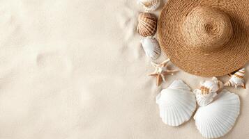 A hat and shells on a beach photo