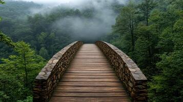 serene stone bridge surrounded by lush greenery and mysterious fog photo