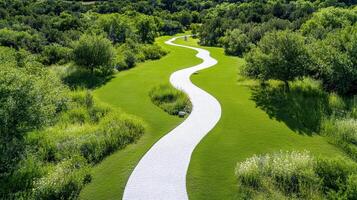 A winding path through a lush green field photo