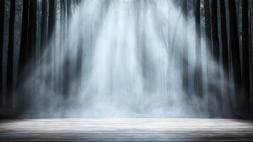 dark forest shrouded in mist with twisted trees and ethereal light photo