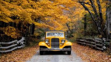 Automobile, autumn, fall, autumn trees, autumn foliage, autumn trees, autumn foliage photo