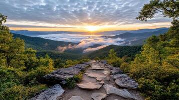 A path leads to the sun rising over the mountains photo