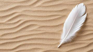 White feather on sand with waves photo