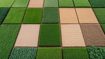 An aerial view of a field of green and brown crops photo