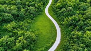 An aerial view of a winding road through a green forest photo