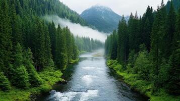 A river running through a forest with trees and mountains photo