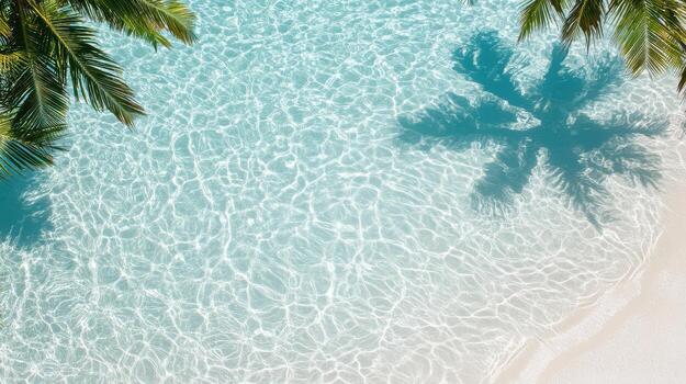 parte superior ver de palma arboles en un tropical playa con claro agua foto