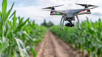 A drone flying over a corn field photo