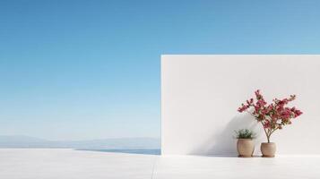 White wall with a potted plant in front of it photo