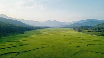 serene rice terrace landscape Southeast Asia, showcasing lush green fields and distant mountains photo