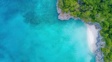 An aerial view of a beach and green trees photo