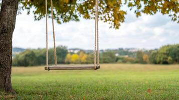 swing hanging from tree in serene landscape, surrounded by lush greenery and distant hills photo