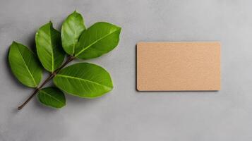Green leaf and empty cardboard on grey background top view photo