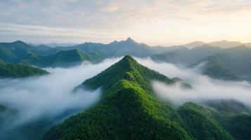 Majestic mountain landscape with lush greenery and mist enveloping peaks at sunrise photo