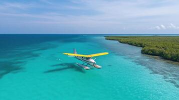 seaplane gracefully glides over turquoise waters, surrounded by lush greenery photo