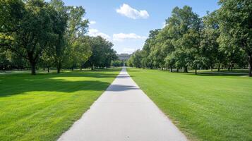 serene pathway stretches through lush green park, lined with trees under clear blue sky photo