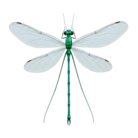 A vibrant emerald damselfly, wings outstretched, showcases intricate vein details against a stark white background. Its iridescent body and delicate form create a serene, botanical mood. png