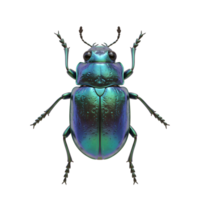 A captivating close-up reveals a jewel beetle's stunning iridescent carapace, shimmering with green and blue hues. Its intricate details and polished surface create a mesmerizing image. png