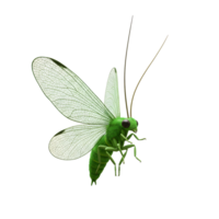 A vibrant green insect with translucent wings hovers, its fuzzy body gleaming. The scene evokes a sense of delicate beauty and quiet wonder. png
