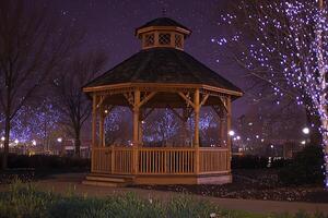 A gazebo in a park at night with lights on it photo