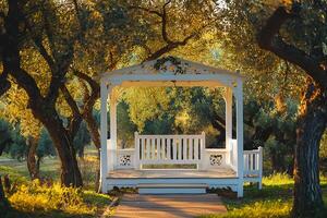 A gazebo in the middle of an olive grove photo