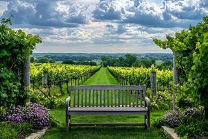 A bench sitting in a field of flowers photo