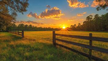 Sunset over a peaceful grassy field. Golden rays of the setting sun illuminate a serene grassy field, surrounded by a rustic wooden fence. photo