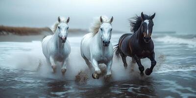 Horses running through surf on beach. Three majestic horses gallop through ocean waves at a tranquil beach, displaying strength and grace in the water. photo
