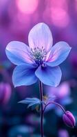 Violet flower in a garden. A stunning violet flower blooms in a vibrant garden during twilight, displaying intricate petals and soft colors. photo