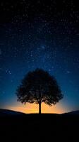 Night sky and silhouette of a tree. A large tree stands against a starry sky at dusk, highlighting the beauty of nature as day turns to night. photo