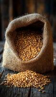 Golden wheat spilling from burlap sack. A burlap sack filled with golden wheat is spilling onto a wooden surface, showcasing the grains in natural light. photo