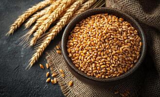 Wheat in a rustic bowl. Fresh wheat grains fill a dark bowl placed alongside golden wheat stalks on a textured burlap cloth. photo