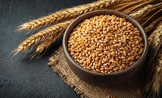 Rustic bowl of wheat grains. Golden wheat grains fill a dark bowl, surrounded by natural wheat stalks and a burlap mat for texture. photo