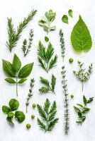 Flatlay of green botanical elements showcasing natural textures and minimalist arrangement with round and rectangular shapes photo