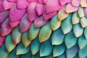 Colorful scales showcase vibrant patterns and textures in a natural setting during daylight photo