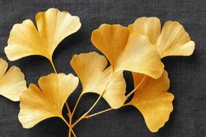 Golden ginkgo leaves arranged artistically on a dark textured surface showcasing nature's beauty photo