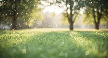 Sunlit Meadow, Dew-Kissed Grass Sparkling in Morning Light, Creating a Serene and Dreamy Atmosphere photo