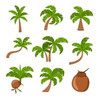 Collection of coconut trees. tree set isolated on white background vector