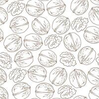 Seamless pattern with walnut, line art, hand-drawn illustration vector