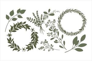 Green laurel wreath illustration features a seamless floral pattern with leaf and branch elements for vintage decoration vector