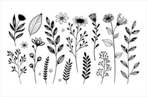 Grass and floral illustration of a plant with leaf pattern design Green grass and floral illustration of a plant with leaf pattern design vector