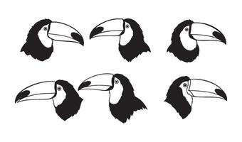 Playful toucan characters with creative expressions and bright color styles vector