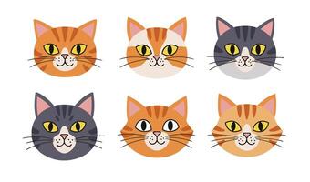 Lively Cat Expressions Artwork for Pet-Friendly Projects and Events vector
