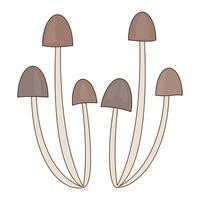 Cluster of tall brown mushrooms with slender stems. vector