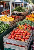 A Vibrant Display of Fresh Produce at a Farmers Market photo